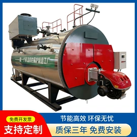 蒸汽发生器;燃气锅炉;燃生物质锅炉