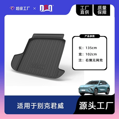 to 2025, Special Waterproof, Non-Slip – Trunk Mat - 17-25-regalregal-gs-domestic-trunk-mat-without-mesh-pocket-on-the-right-side-tpe-material-waterproof-bag-rolled-up-for-delivery
