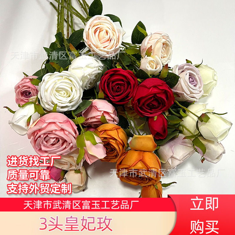 European -style princess rose rolled border garden rose foreign…