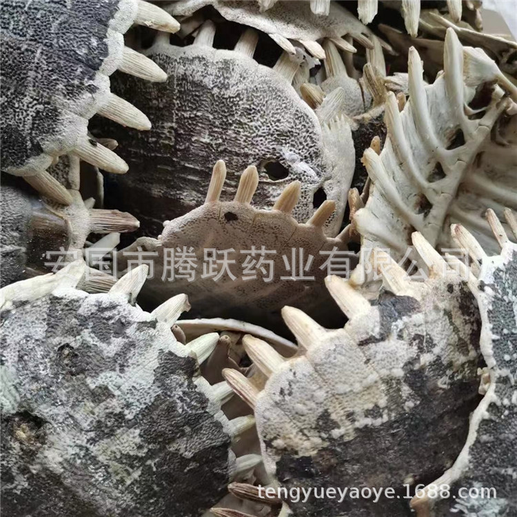 Dried Turtle Shell Bie Jia Whole Pieces Traditional Chinese Herb 500g quality and texture