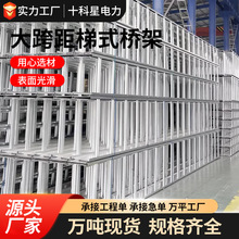 防火电缆桥架 电缆防火桥架规格齐全镀锌大跨距梯式防火桥架
