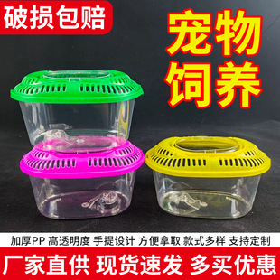 Portable plastic small fish tank turtle box wholesale transparent aquarium pet breeding box night market stall supply