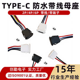 防水TYPE-C母座带线厂2P/4P/6P可选 支持定制颜色线长端子间距