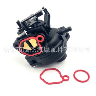 Трансграничный карбюратор Briggs & Stratton 799584 798675 59236 593260