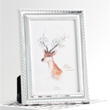 欧式时尚银白金属相框7寸8寸简约现代高档画框摆台精致礼物