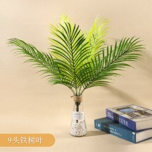 9�^���F���~ާ��~����ֲ��ؙ����b����ᎧҬ�Ә��~ɢβ��