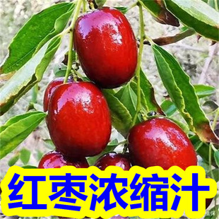 �t����s֭ �t��֭ ��s�t��֭ �t���ڸ�ͻ�� �t��ζ��S���o����