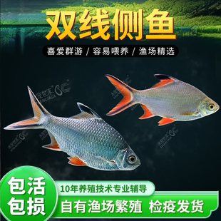 �p�����^�p�~���P�y�P�~���w�Ꭷ�~̩���a�д��͌Ӱ��]�t�y�����~