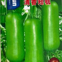 ������ϷN�Ӷ��ѹϷN������ӹϲ˺��J�̰��r���̨�ļ��߲˷N