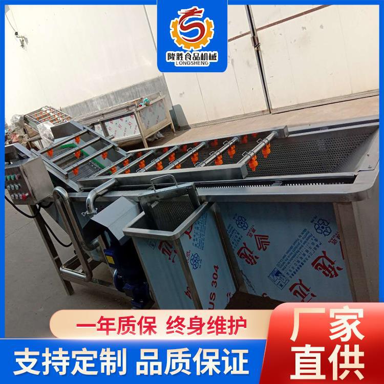 隆胜油麦菜涡流清洗线 果蔬翻滚式气泡清洗机 商用大型食堂洗菜机