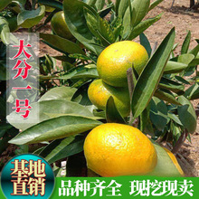 �޽����������һ̖������ٵ��Թ�������Ә��٘�������������