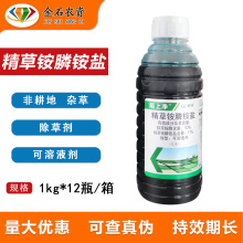 ����İ�σ� 11%�����@��@�}�ݰ��׸��ٹ��@�ĵ��s���rș���݄�