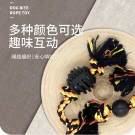 亚马逊热销宠物玩具狗狗棉绳玩具 磨牙洁齿狗咬绳组合套装批发