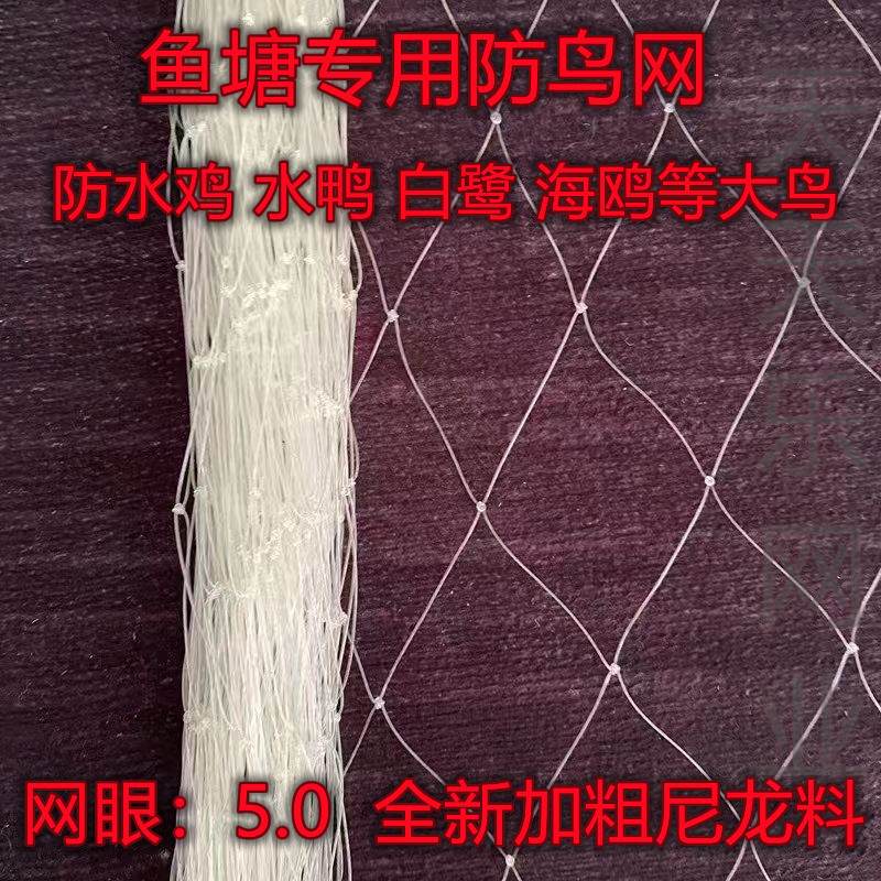 池塘放防鸟网大鸟大孔尼龙养殖牛蛙龙虾泥鳅白鹭鱼塘天网5.0