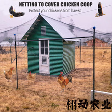 鸡舍家禽围网 果园果树防鹿防鸟网花园防护网草莓蔬菜防松鼠网