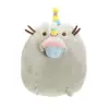 Birthday cat