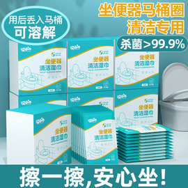 酒店宾馆公共卫生间马桶坐便器清洁湿巾便携小包单片盒装湿厕纸巾