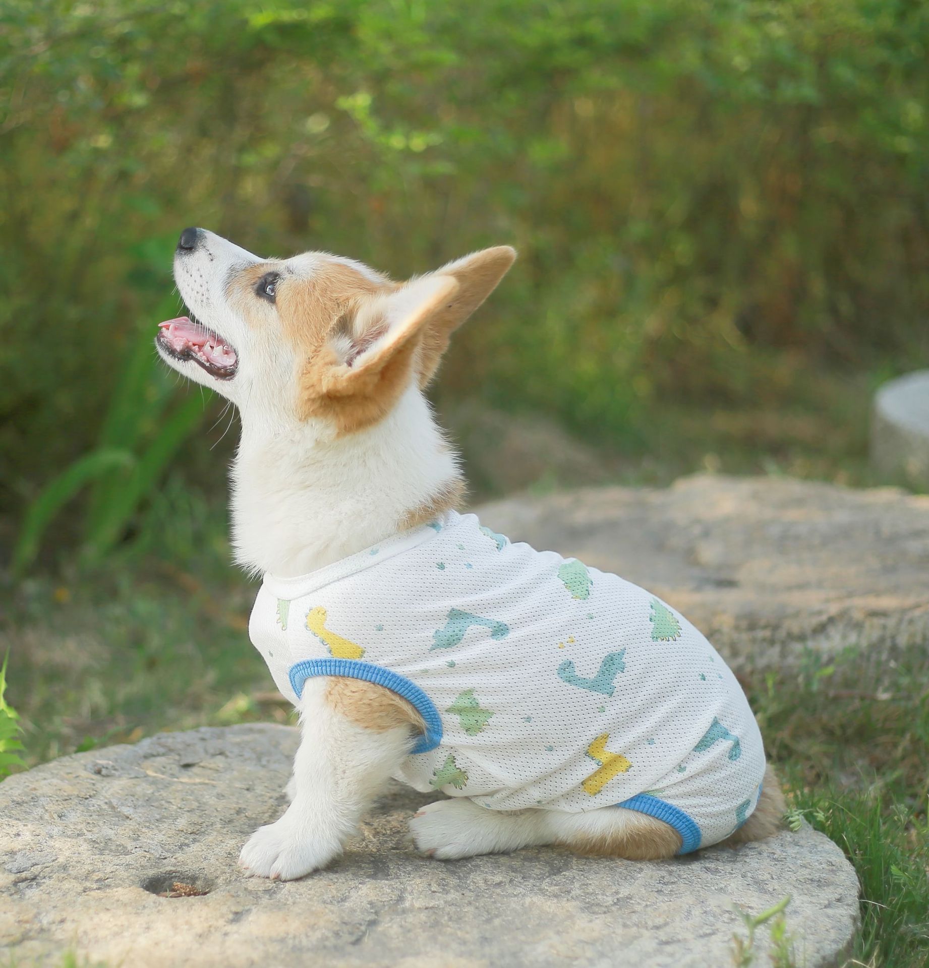 공룡