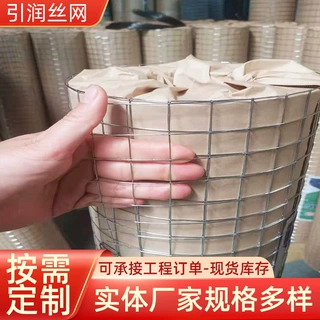 定制热镀锌丝电焊网造型钢丝网天棚抹灰挂网烟道用网造型钢丝网