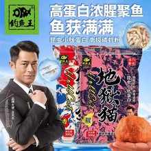 钓鱼王地狱猫昆虫蛋白鱼饵秋冬腥香浓腥饵料鲫鱼黑坑饵全能鱼饵料