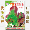 Free shipping original one -yuan stall seed manufacturer Vegetable seeds wholesale color bags, four seasons easy to grow good oral seed seed seeds