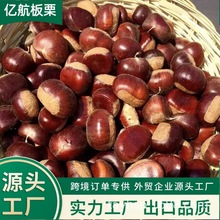 2025�������؛���r�����t���ӳ������� 40-60/30-40/40-50KG