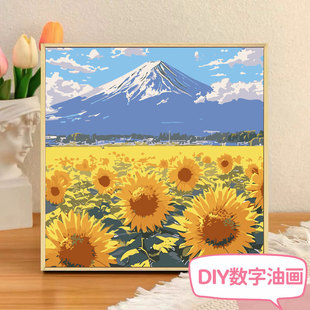 ���տ�diy�����ͮ����L��ɫ������տ����ֵ�L���≺��ϩ�b�