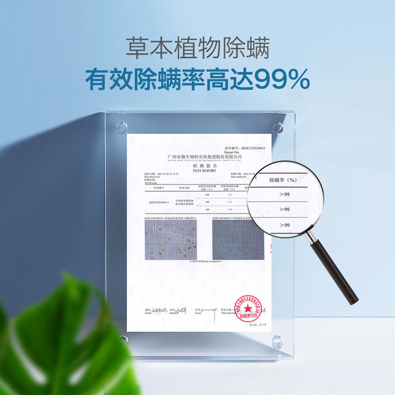 Natural Messenger Mint Sea Salt Gentle Cleansing & Hydrating Foam Cleanser 120g Wholesale