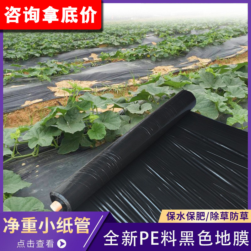 Mulchilla negra agrícola desherbado espesado mulchilla PE perforación plástico degradable tela de plástico mulchilla vegetales nuevo control de pasto