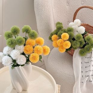 6֧�����ѹ�Ӣ����ë���[����滨�ٻ��Ҿ��b�c�zӰ��������
