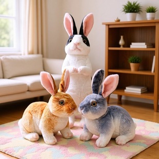 �羳��������ë�q�����Ф�ò��������꼪������żС���ù������l
