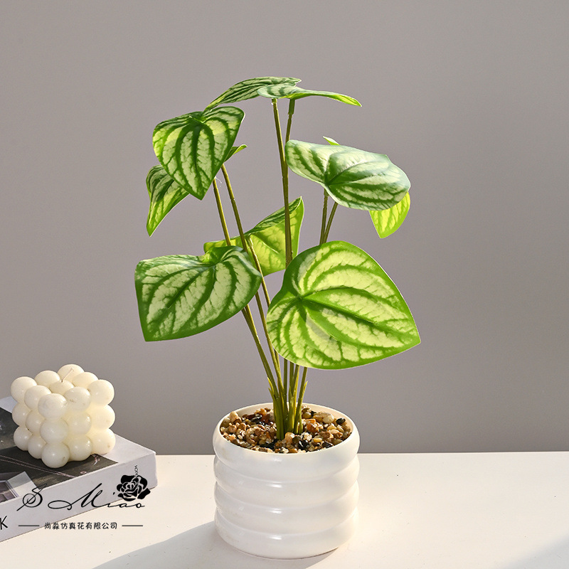 Línea blanca de hoja larga, planta verde, simulación, planta en maceta, flor artificial, decoración de flores creativas, planta verde artificial, bonsai de simulación image 5
