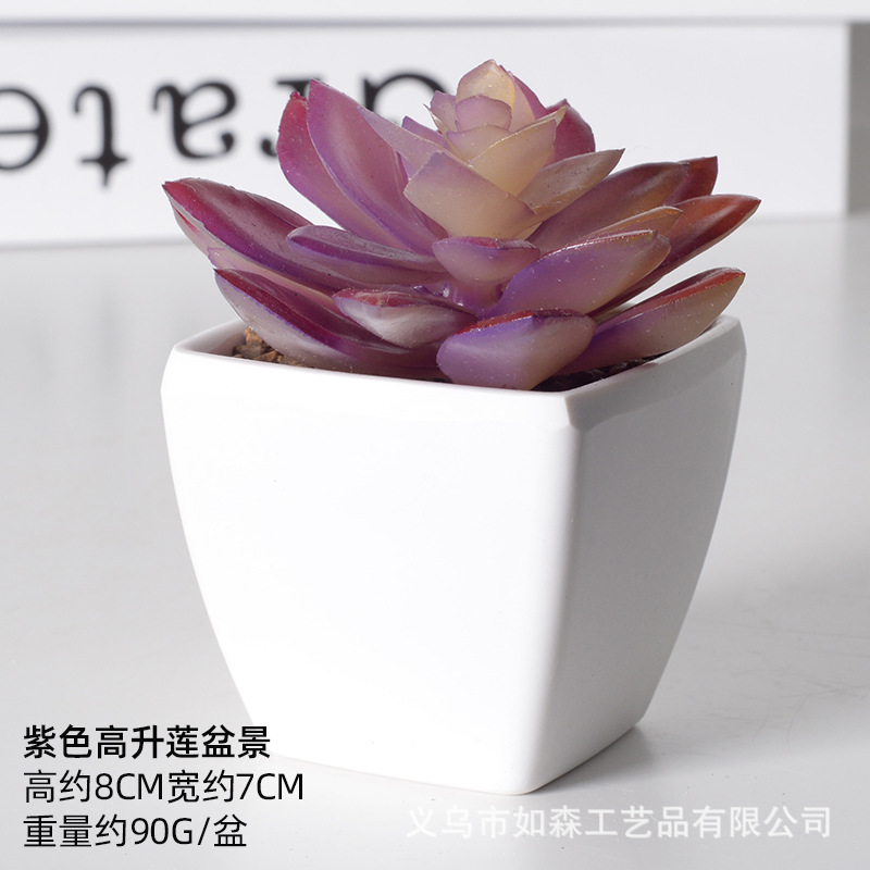 Simulación de plástico carnoso bonsai flor falsa combinación oficina interior escritorio plantas verdes pequeños adornos plantas artificiales al por mayor image 61