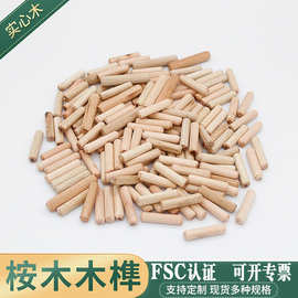 木针圆木榫 家具木塞斜纹木销木钉子组装连接件木楔子木肖