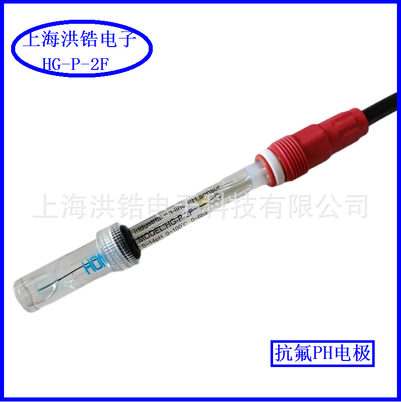 SHHONGAO洪锆HG-P-2F抗HF氢氟酸在线PH电极厂家直销传感器探头