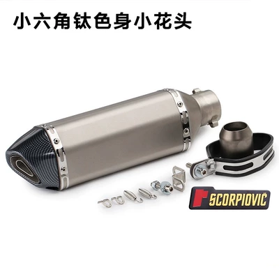 Huanglong 600 and Scorpio – Exhaust pipe - hexagonal-titanium-body-small-flower-head-with-label