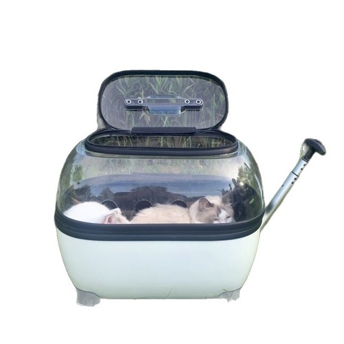 Cat travel pet suitcase portable for two transparent dog bags luggage cat backpack trolley breathable