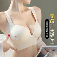 o۴ammŮ@Сı͸۔nոQ