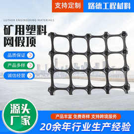 矿山用塑料土工格栅煤矿假顶 矿用塑料网假顶 拉伸塑料矿用假顶网