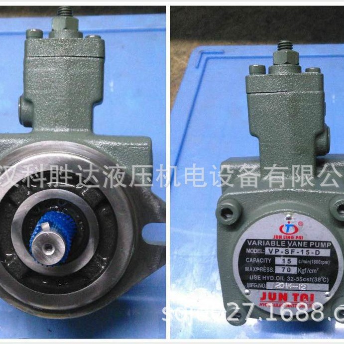 JUNTAI叶片泵VP-SF-08/12/15/20/30/40-D JUNLINGPAI平键轴一字键