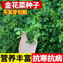 �𻨲˷N���Ϻ����^�N�Ѵ��~�S�����^�N�������~���＾���˷N��