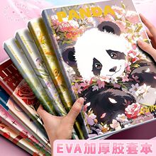 �H�w�z�ױ������ɐ���Ů��A5ӛ�±����sins�L��ˇ����B5����ܛ��