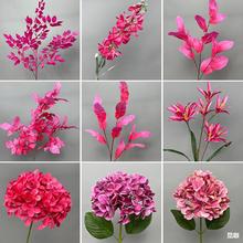 õ�tɫϵ�л��Ľ���õ����滨��c��Yӆ���b�·���廨������ˇ