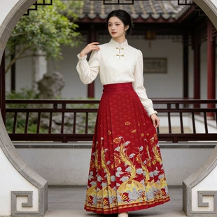 Hanfu set women's, Chinese style robe and skirt, embroidered patterns, multi-size (S–2XL)