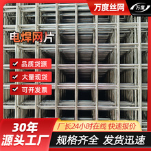 �f�ȏS��10cm�ײ��P䓾WƬ304���P�늺��W���������W �Bֳ���ھW