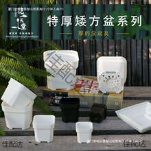 �غ���⻨�����ϰ��׷������ش��Ҏ�����羫���B�̨�h�Nֲ����