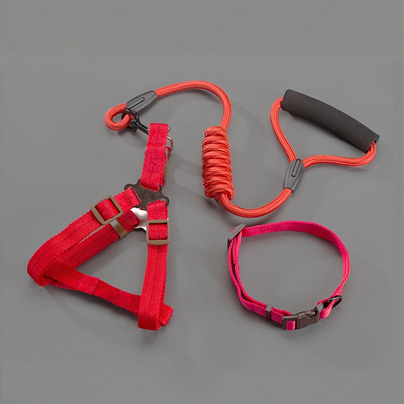 3 피스 세트-빨간색 긴 로프 (가슴 등 + 칼라 + 3 m 로프)