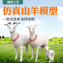 ɽ[ _̩[͏dӰҕ ɽģƤë