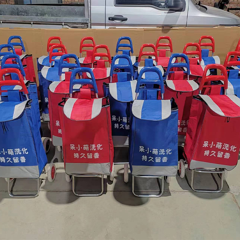 Carrito de compras de verduras pequeño carrito de compras plegable doméstico portátil carrito de compras de mano supermercado de ancianos tomar carrito expreso al por mayor