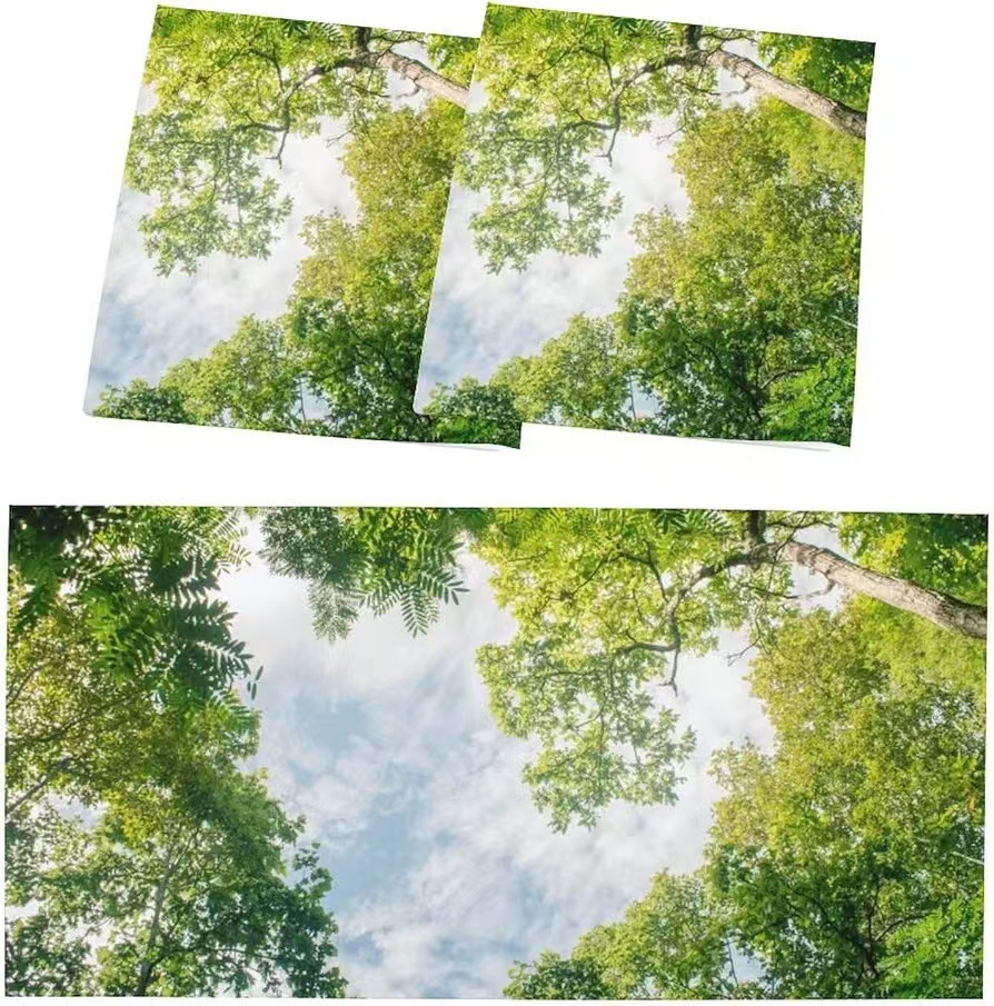 숲속의 하늘 (121*61)